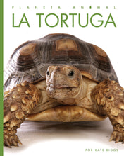 Laden Sie das Bild in den Galerie-Viewer, Planeta animal (2022): La tortuga
