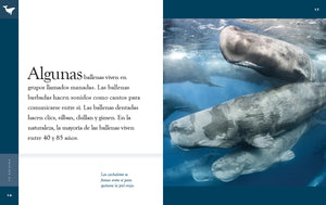 Planeta animal (2022): La ballena