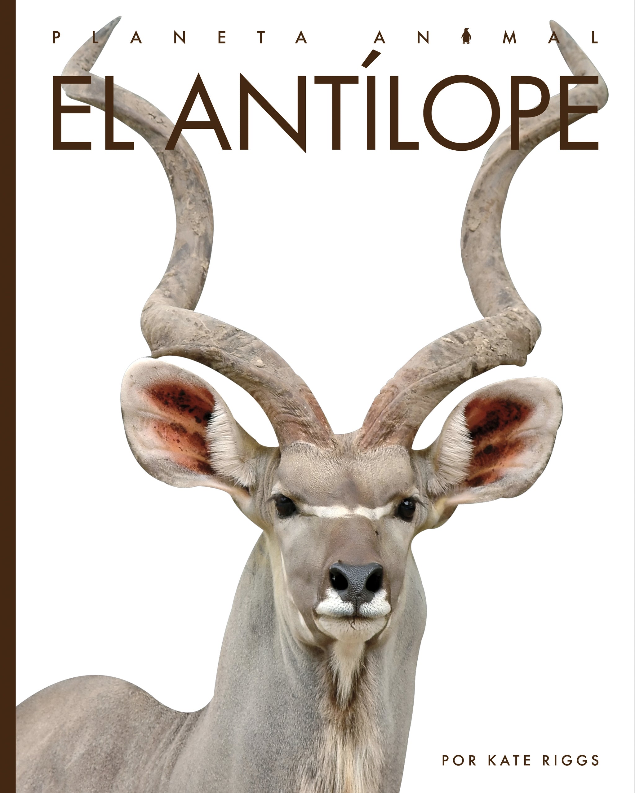 El antílope – The Creative Company
