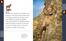 Laden Sie das Bild in den Galerie-Viewer, Planeta animal (2022): El borrego cimarrón
