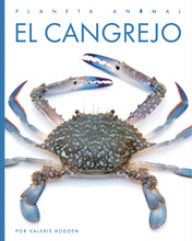 Laden Sie das Bild in den Galerie-Viewer, Planeta-Tier (2022): El cangrejo
