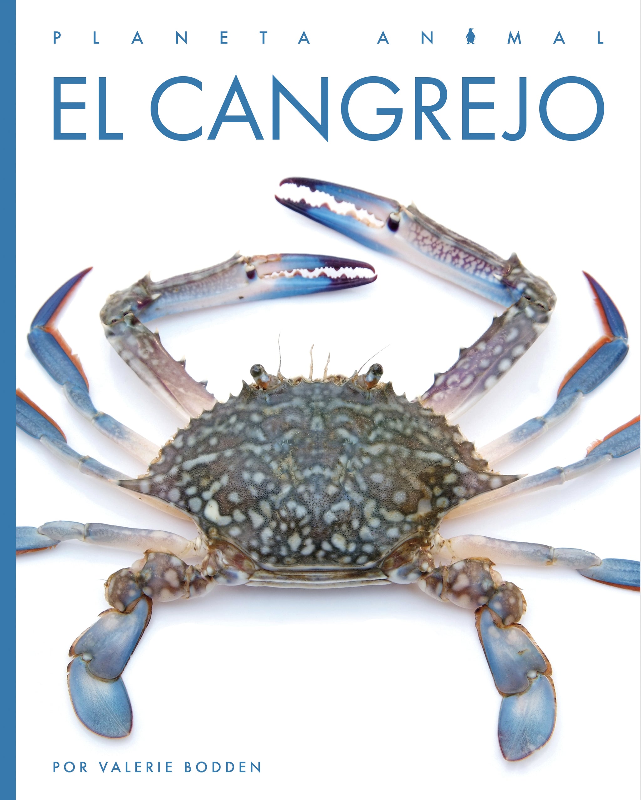 El cangrejo – The Creative Company