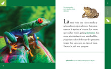 Laden Sie das Bild in den Galerie-Viewer, Planeta-Tier (2022): La rana

