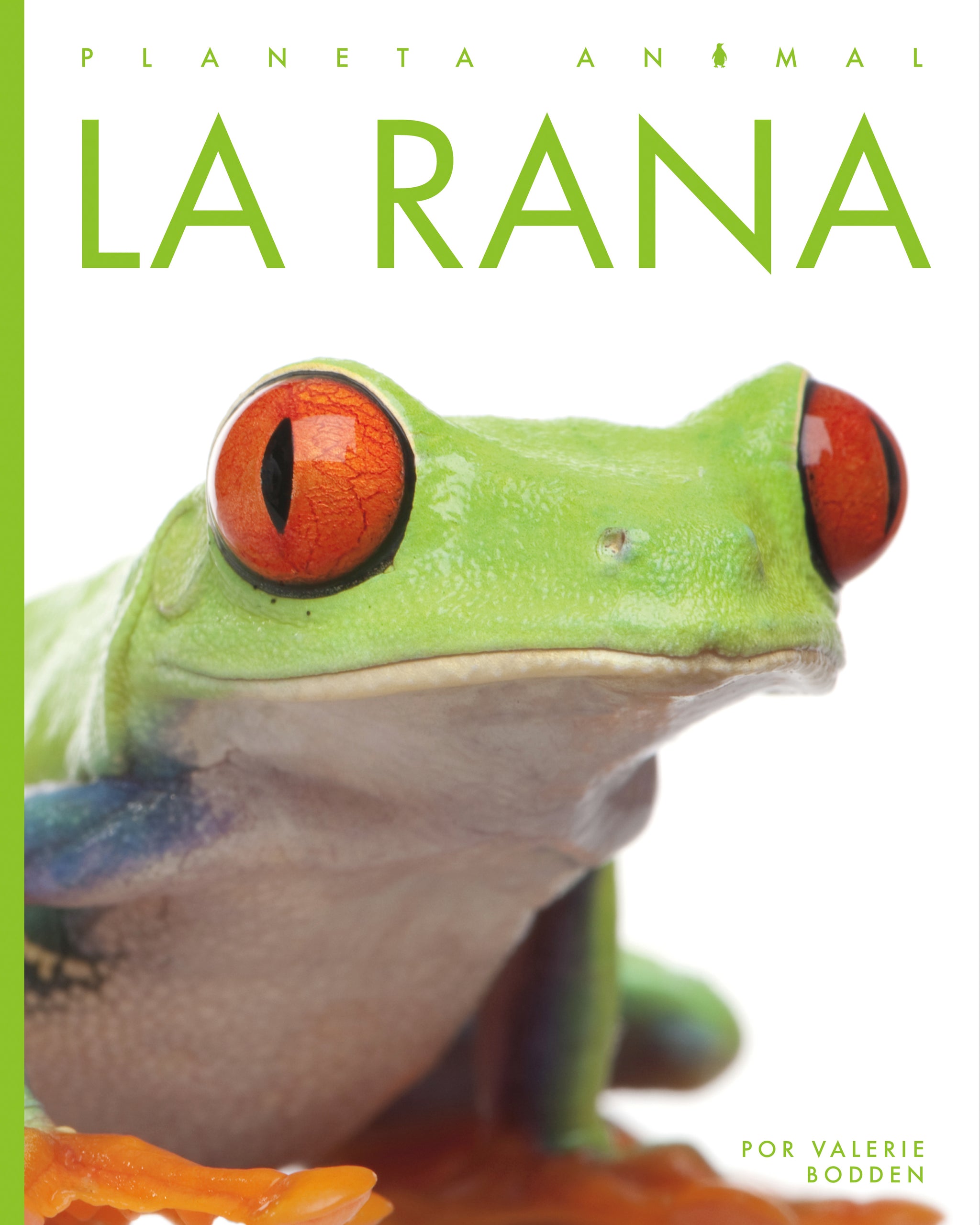 La rana – The Creative Company
