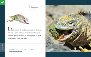 Planeta animal (2022): La iguana