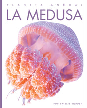 Laden Sie das Bild in den Galerie-Viewer, Planeta-Tier (2022): La medusa
