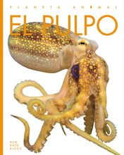 Laden Sie das Bild in den Galerie-Viewer, Planeta-Tier (2022): El pulpo
