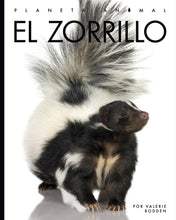 Laden Sie das Bild in den Galerie-Viewer, Planeta-Tier (2022): El Zorrillo

