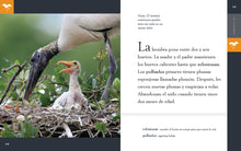 Laden Sie das Bild in den Galerie-Viewer, Planeta animal (2022): La cigüeña
