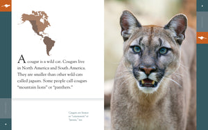 Amazing Animals (2014): Cougars