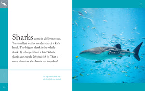 Amazing Animals (2014): Sharks