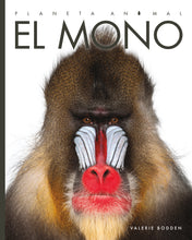 Laden Sie das Bild in den Galerie-Viewer, Planeta animal (2022): El mono
