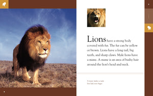 Amazing Animals (2014): Lions