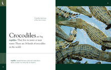 Laden Sie das Bild in den Galerie-Viewer, Amazing Animals (2014): Krokodile
