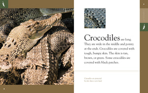 Amazing Animals (2014): Crocodiles