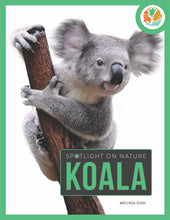 Laden Sie das Bild in den Galerie-Viewer, Die Natur im Rampenlicht: Koala
