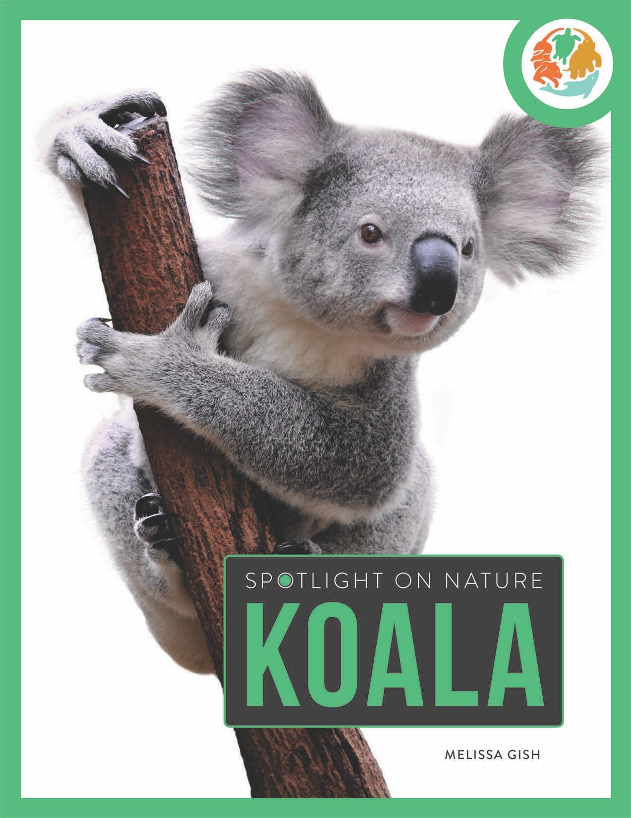 Die Natur im Rampenlicht: Koala