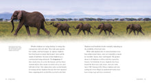 Laden Sie das Bild in den Galerie-Viewer, Living Wild - Classic Edition: Elefanten
