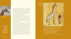 Living Wild - Classic Edition: Giraffen