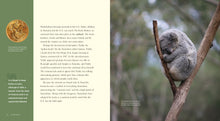 Laden Sie das Bild in den Galerie-Viewer, Living Wild - Classic Edition: Koalas
