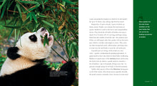 Laden Sie das Bild in den Galerie-Viewer, Living Wild - Classic Edition: Pandas
