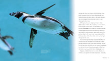 Laden Sie das Bild in den Galerie-Viewer, Living Wild - Classic Edition: Pinguine
