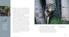 Laden Sie das Bild in den Galerie-Viewer, Living Wild - Classic Edition: Wölfe
