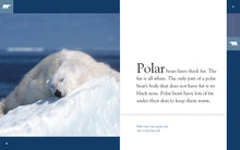 Laden Sie das Bild in den Galerie-Viewer, Amazing Animals (2014): Eisbären
