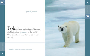Amazing Animals (2014): Eisbären