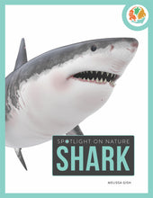 Laden Sie das Bild in den Galerie-Viewer, Die Natur im Rampenlicht: Hai
