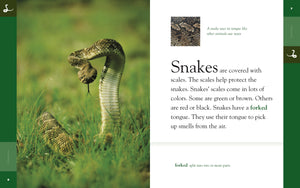 Amazing Animals (2014): Snakes