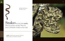 Laden Sie das Bild in den Galerie-Viewer, Amazing Animals (2014): Schlangen
