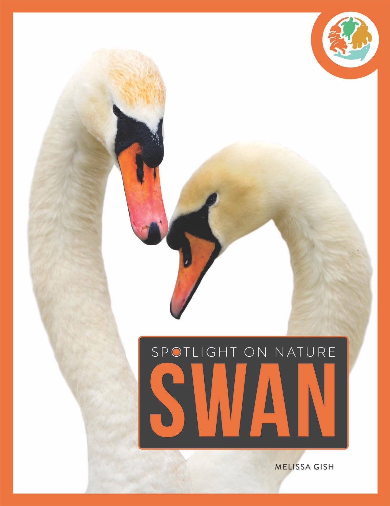 Spotlight on Nature: Swan
