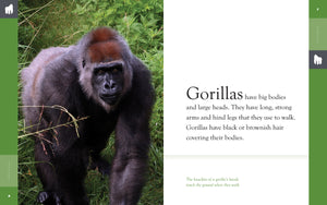 Amazing Animals (2014): Gorillas