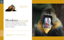 Laden Sie das Bild in den Galerie-Viewer, Amazing Animals (2014): Affen
