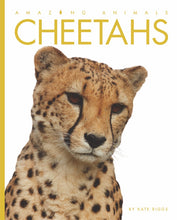 Laden Sie das Bild in den Galerie-Viewer, Amazing Animals (2014): Geparden

