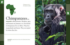 Amazing Animals (2014): Chimpanzees