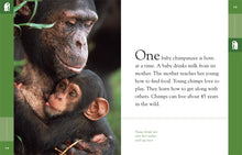Laden Sie das Bild in den Galerie-Viewer, Amazing Animals (2014): Schimpansen
