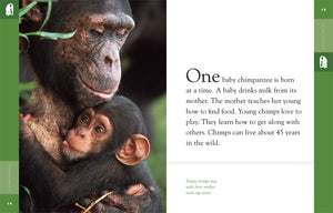 Amazing Animals (2014): Chimpanzees