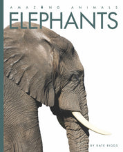 Laden Sie das Bild in den Galerie-Viewer, Amazing Animals (2014): Elefanten
