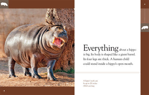 Amazing Animals (2014): Hippopotamuses