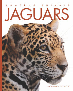 Amazing Animals (2014): Jaguare