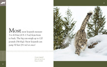 Laden Sie das Bild in den Galerie-Viewer, Erstaunliche Tiere (2014): Schneeleoparden
