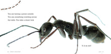 Laden Sie das Bild in den Galerie-Viewer, Gruselige Kreaturen: Ameisen
