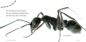 Gruselige Kreaturen: Ameisen