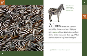 Amazing Animals (2014): Zebras