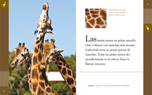 Laden Sie das Bild in den Galerie-Viewer, Planeta animal (2022): La jirafa
