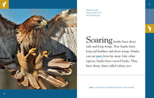 Laden Sie das Bild in den Galerie-Viewer, Amazing Animals (2014): Falken
