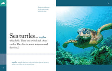 Laden Sie das Bild in den Galerie-Viewer, Amazing Animals (2014): Meeresschildkröten
