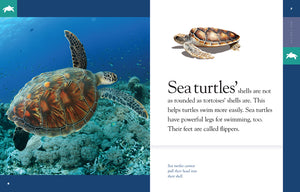 Amazing Animals (2014): Sea Turtles